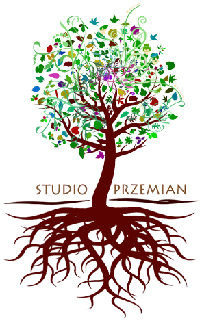 studioprzemian.com